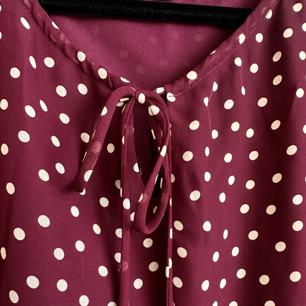 Beautiful Polka Dot Sheer Blouse